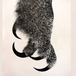 @9u2oiのプロフィール画像