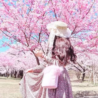 @___peterpanda_honey_のプロフィール画像