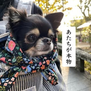 @_k_i_k_i_oのプロフィール画像