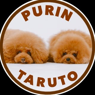 @_purintaruto_のプロフィール画像