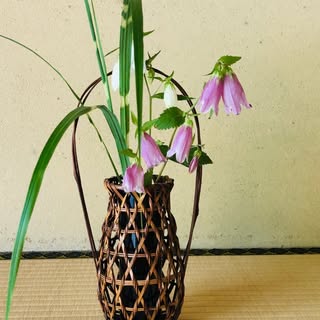 @abcsachsachのプロフィール画像