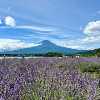 @an20co28_cookingのプロフィール画像