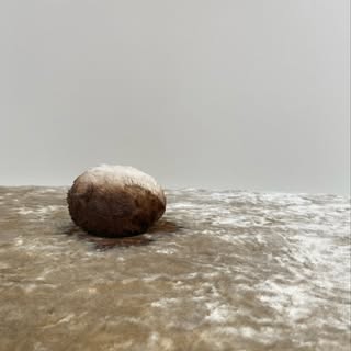 @antiquusdaysのプロフィール画像