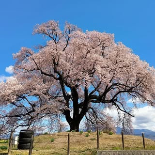 @banno_2025のプロフィール画像