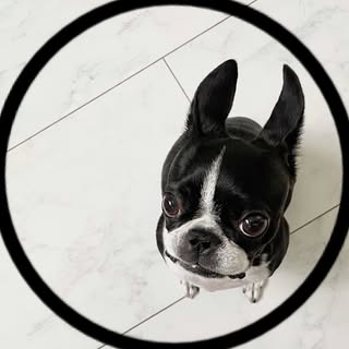 @beautiful.perfumeのプロフィール画像