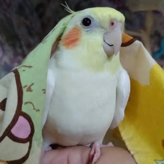 @belwo5963のプロフィール画像