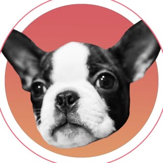 @boston_chabyのプロフィール画像