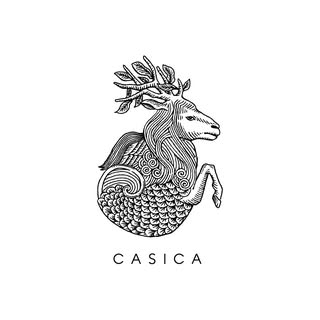 @casica.tokyoのプロフィール画像