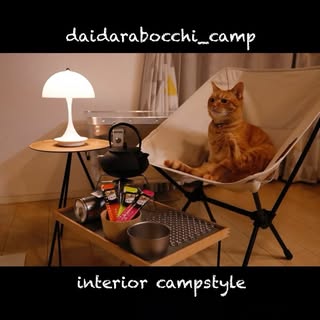 @daidarabocchi_campのプロフィール画像