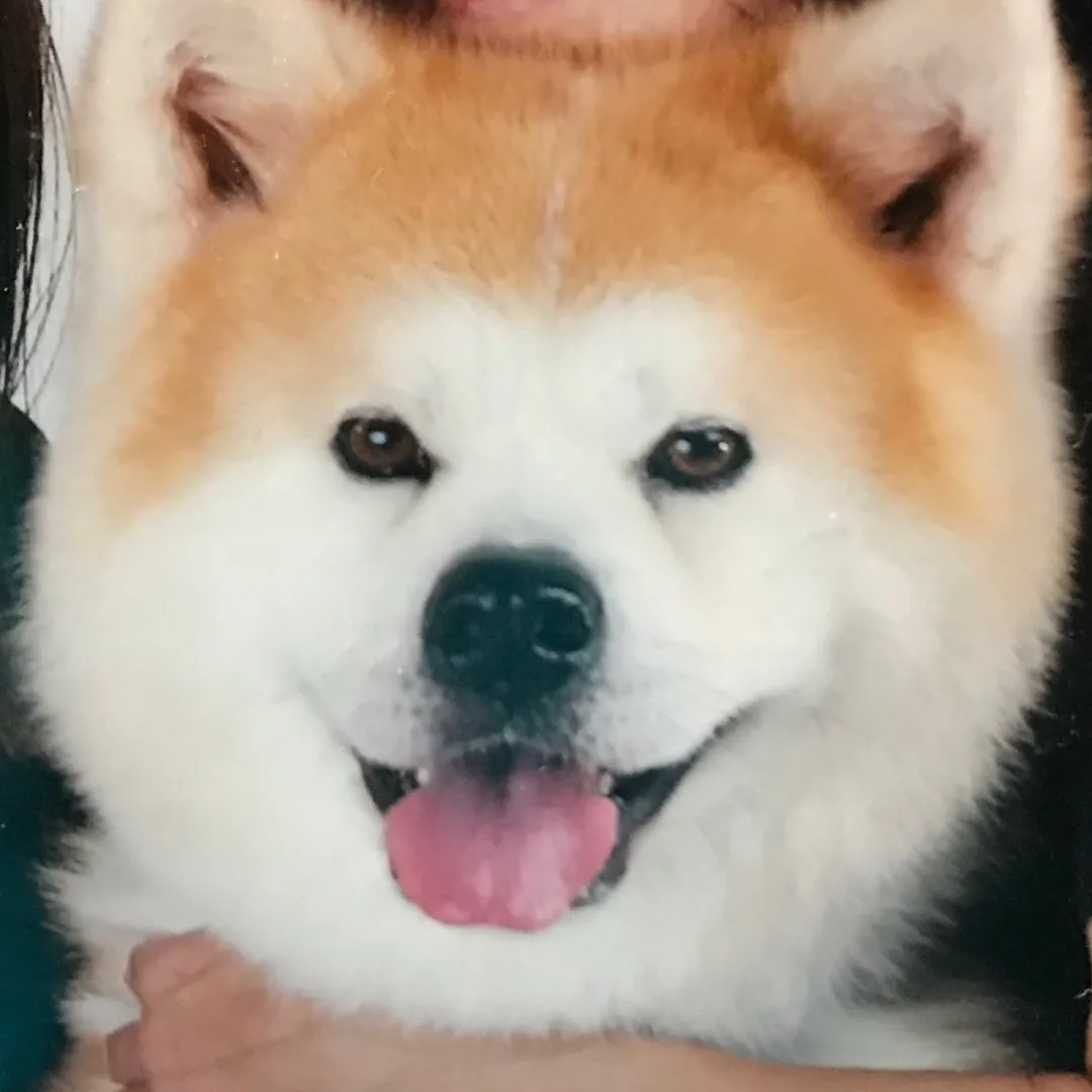 @donta.gramのプロフィール画像