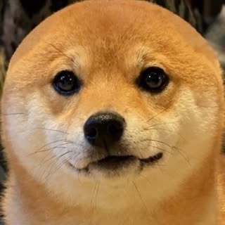 @dr.hakasechan_のプロフィール画像