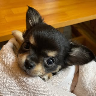 @emaikezooのプロフィール画像