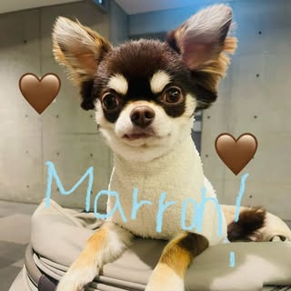 @erichin1387のプロフィール画像