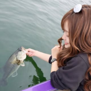 @fish33_knfmのプロフィール画像