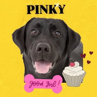 @gonpolaのプロフィール画像