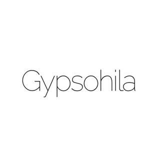 @gypsohila.jpnのプロフィール画像
