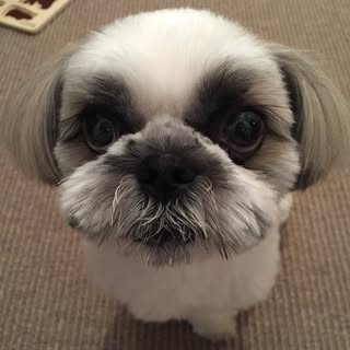 @hamaji_0912のプロフィール画像