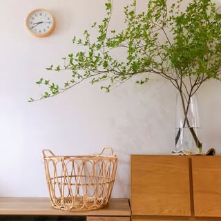 @hina_muni.kyotoのプロフィール画像