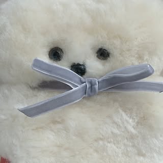 @iammumemiのプロフィール画像