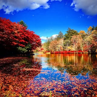 @insta_karuizawaのプロフィール画像