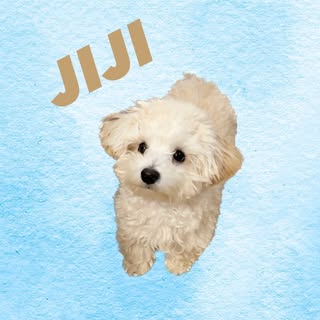 @jiji_insta_0520のプロフィール画像