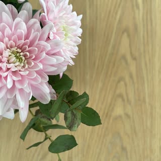 @jonna_myhomeのプロフィール画像