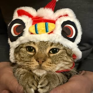 @junjun_jjjのプロフィール画像