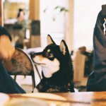 @kazoku_magazineのプロフィール画像