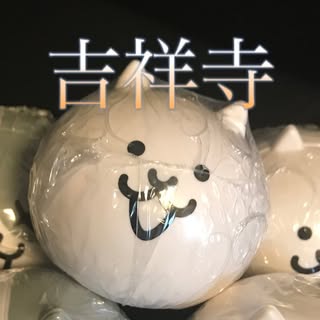 @kichijoji_nyankoのプロフィール画像