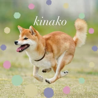@kinako_7.10のプロフィール画像