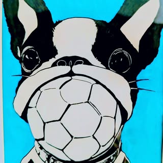 @kinokoodangoのプロフィール画像