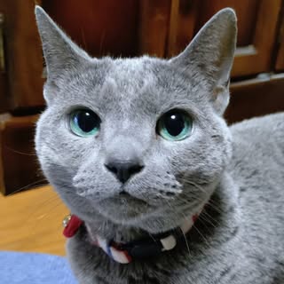 @kouichichan0707のプロフィール画像