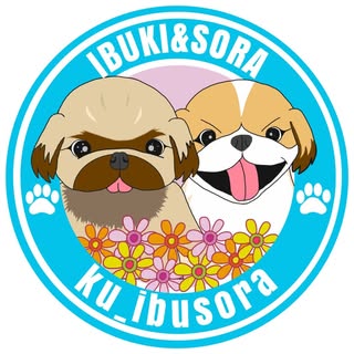 @ku_ibusoraのプロフィール画像