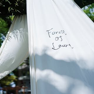 @laura___forestのプロフィール画像