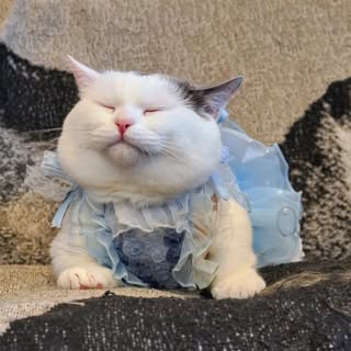 @m0i5a1n0のプロフィール画像