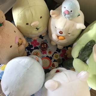 @maki.n.1123のプロフィール画像