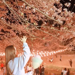 @mamwmcefmのプロフィール画像