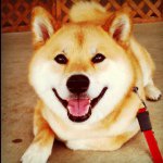 @marutaroのプロフィール画像