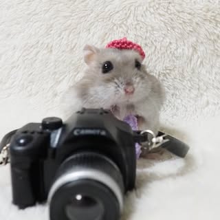 @milk.chai.marron.ppのプロフィール画像