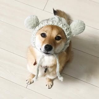 @mirimoguのプロフィール画像