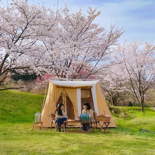 @mk.r.a.campのプロフィール画像