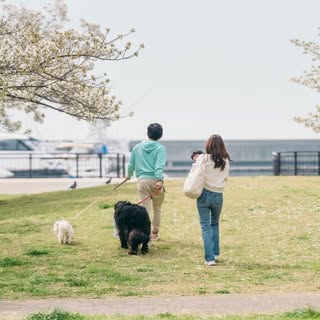 @mo_kansai_gurumeのプロフィール画像