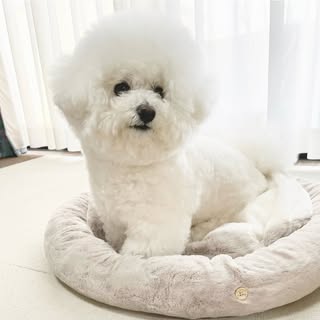 @mochi.omochi78のプロフィール画像