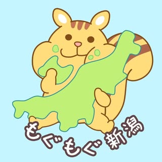 @mogu_niigataのプロフィール画像