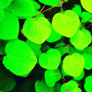 @moootannのプロフィール画像