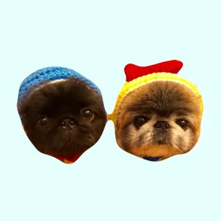 @mottazukuのプロフィール画像