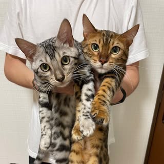 @n.vivi_belle_sistersのプロフィール画像