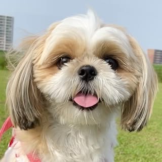 @nana_chan7723のプロフィール画像
