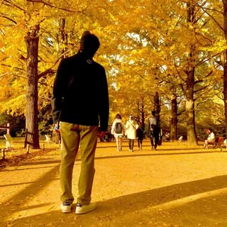 @nao.m.ox1961のプロフィール画像