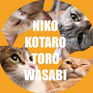@nikoandkota.toroのプロフィール画像